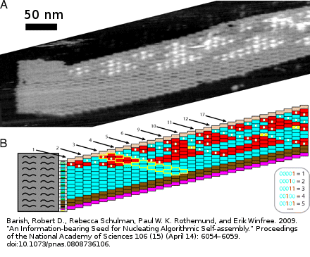 Tile Assembly by Barish et al