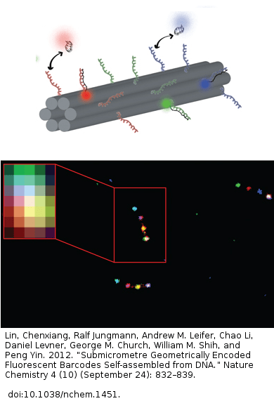 superresolution DNA