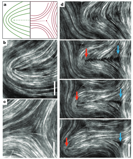 2014-04-22 11_28_15-Spontaneous motion in hierarchically assembled active matter - reprint_final_cop