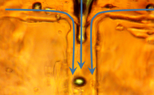 2017-03-27 06_35_38-Presentation1 - PowerPoint